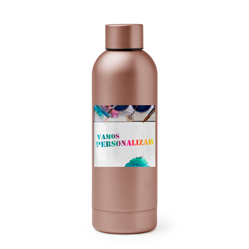 Customized stainless steel bottle BALAX